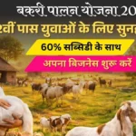 बकरी पालन योजना 2026: 12वीं पास युवाओं के लिए सुनहरा मौका, 60% सब्सिडी के साथ शुरू करें अपना बिजनेस।
