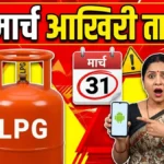 LPG KYC New Rule : 31 मार्च से पहले निपटा लें ये काम! वरना बंद हो जाएगी गैस सब्सिडी, मोबाइल से ऐसे करें e-KYC।